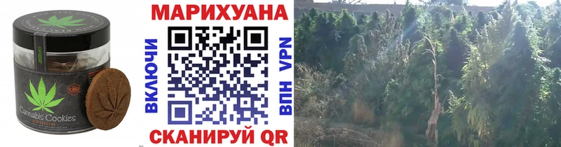 где купить наркотик  Алушта  shop формула  Еда ТГК марихуана 