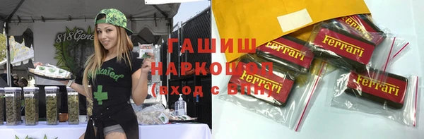 гашик Алексин