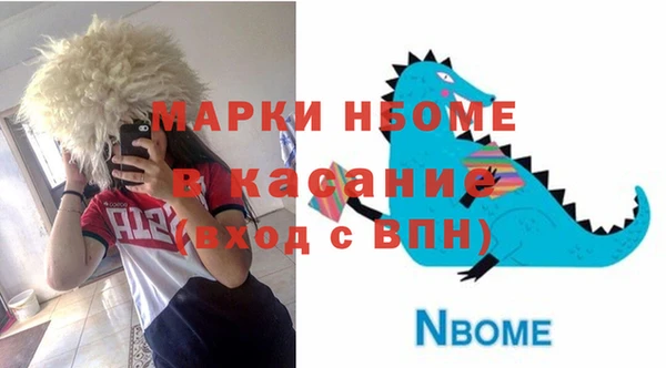 гашик Алексин