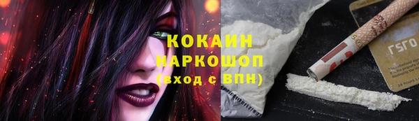 гашик Алексин