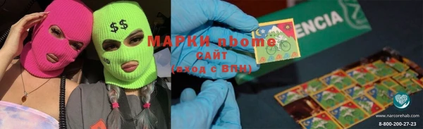 гашик Алексин