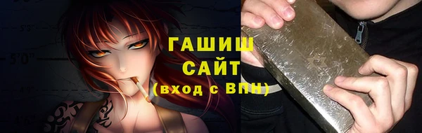 гашик Алексин