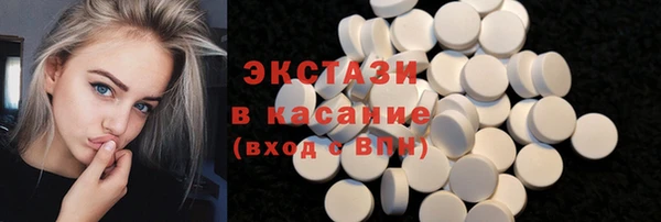 гашик Алексин