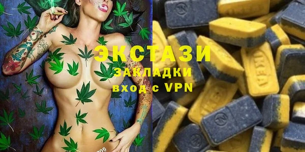 гашик Алексин