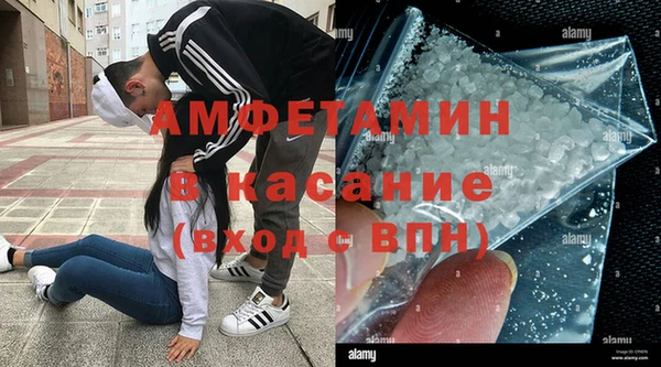 гашик Алексин