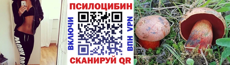 Галлюциногенные грибы Magic Shrooms  закладки  площадка какой сайт  Алушта 